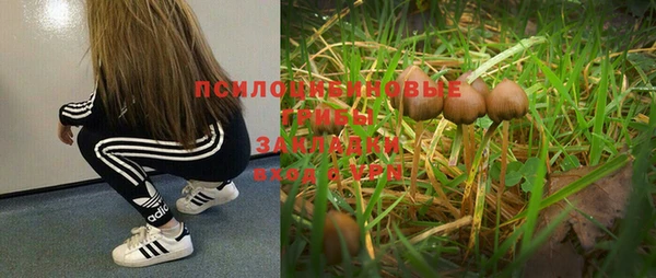винт Белокуриха