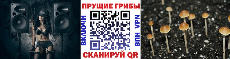 Галлюциногенные грибы ЛСД  Кимовск 