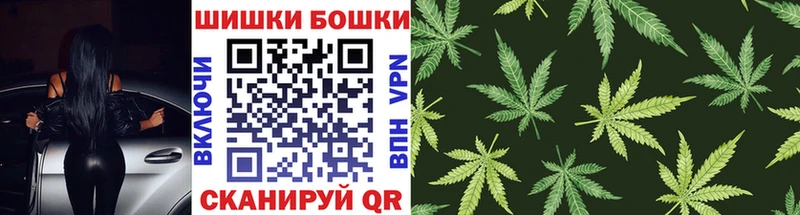 купить наркотик Кимовск блэк спрут рабочий сайт Конопля тримм
